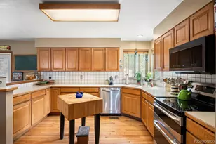 1600 Pinyon Dr, Castle Rock, CO 80104 - Photo 14