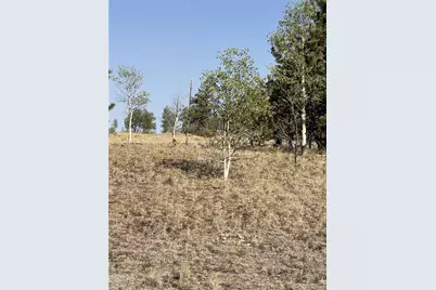 3031 McDowell Drive, Como, CO 80432 - Photo 4