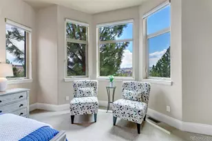 5101 Ten Mile Pl, Castle Rock, CO 80108 - Photo 28