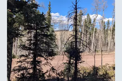 2452 Petito Drive, Fort Garland, CO 81133 - Photo 8