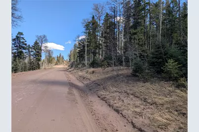 2452 Petito Drive, Fort Garland, CO 81133 - Photo 2