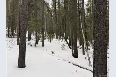 Lot 2759 Purnell Lane, Fort Garland, CO 81133 - Photo 6