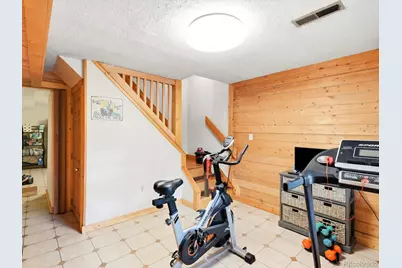 10 Juniper Way, Bailey, CO 80421 - Photo 30