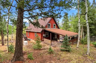 10 Juniper Way, Bailey, CO 80421 - Photo 40