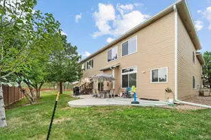 9531 Sand Hill Ct, Highlands Ranch, CO 80126 - Photo 30