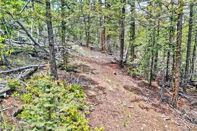 28 Old Squaw Road, Jefferson, CO 80456 - Photo 8