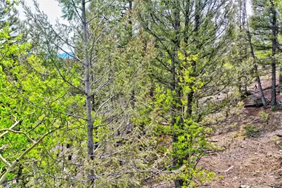 28 Old Squaw Road, Jefferson, CO 80456 - Photo 14