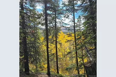5347 Monitor Lode Claims, Leadville, CO 80461 - Photo 14
