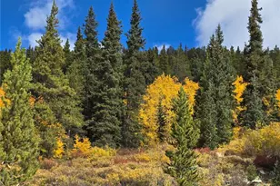 5347 Monitor Lode Claims, Leadville, CO 80461 - Photo 1