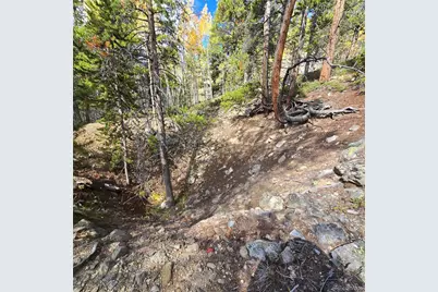 5347 Monitor Lode Claims, Leadville, CO 80461 - Photo 6