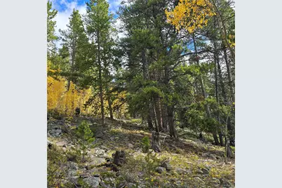 5347 Monitor Lode Claims, Leadville, CO 80461 - Photo 10