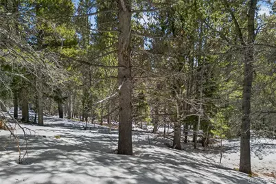 Lot 846 Lincoln Drive, Idaho Springs, CO 80452 - Photo 14