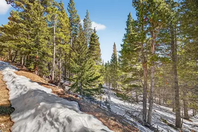 Lot 846 Lincoln Drive, Idaho Springs, CO 80452 - Photo 4