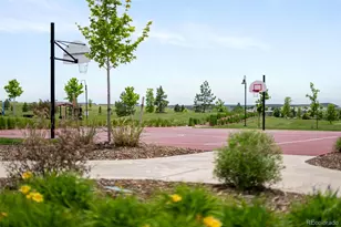 10465 Konstanz St, Parker, CO 80134 - Photo 50