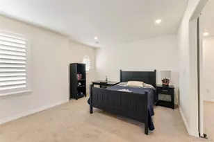 10465 Konstanz St, Parker, CO 80134 - Photo 28