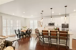 10465 Konstanz St, Parker, CO 80134 - Photo 8