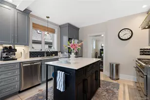 425 N Franklin St, Denver, CO 80218 - Photo 16