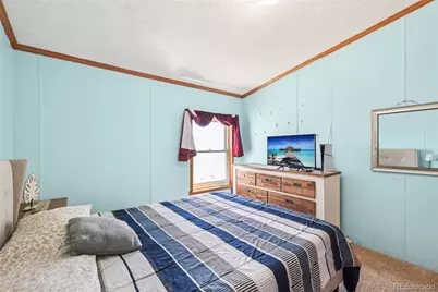 265 Trout Road, Fairplay, CO 80440 - Photo 18
