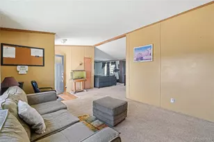 265 Trout Rd, Fairplay, CO 80440 - Photo 4