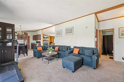 265 Trout Road, Fairplay, CO 80440 - Photo 8