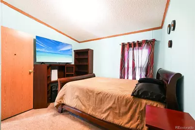 265 Trout Road, Fairplay, CO 80440 - Photo 22