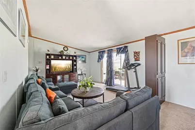 265 Trout Road, Fairplay, CO 80440 - Photo 6