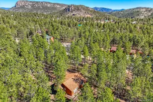 261 Impala Trail, Bailey, CO 80421 - Photo 28