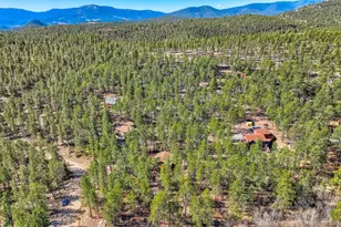 261 Impala Trail, Bailey, CO 80421 - Photo 36