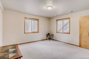 261 Impala Trail, Bailey, CO 80421 - Photo 18
