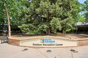 5929 S Steele St, Centennial, CO 80121 - Photo 46