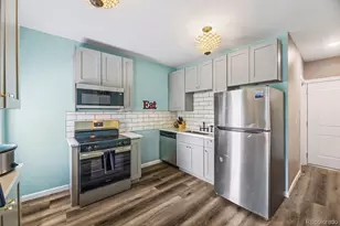 1483 N Detriot Street, Denver, CO 80206 - Photo 12