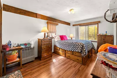 474 Gap Road, Fairplay, CO 80440 - Photo 20