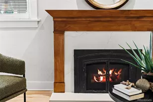 874 S Gilpin St, Denver, CO 80209 - Photo 8