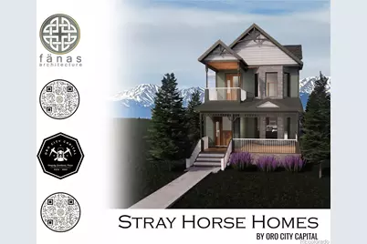 601 E 8th Street, Leadville, CO 80461 - Photo 8