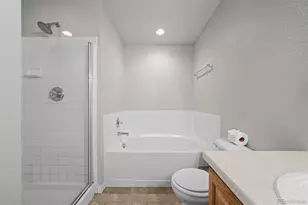 9306 Amison Cir, Parker, CO 80134 - Photo 12