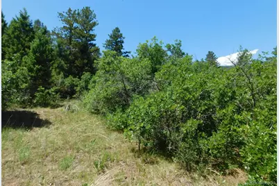 6447 Thunderbird Road, Larkspur, CO 80118 - Photo 40