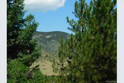6447 Thunderbird Road, Larkspur, CO 80118 - Photo 38