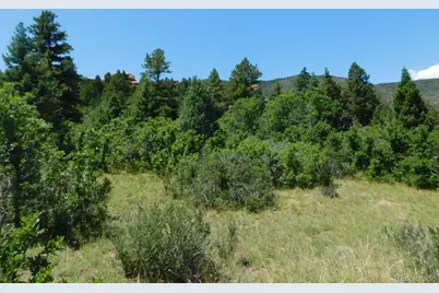 6447 Thunderbird Road, Larkspur, CO 80118 - Photo 32