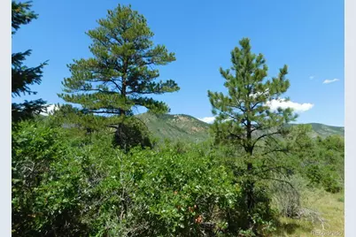 6447 Thunderbird Road, Larkspur, CO 80118 - Photo 26