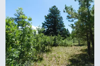 6447 Thunderbird Road, Larkspur, CO 80118 - Photo 34