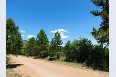 6447 Thunderbird Road, Larkspur, CO 80118 - Photo 10