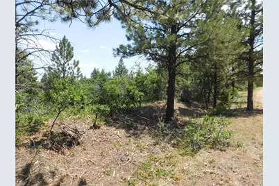 6447 Thunderbird Road, Larkspur, CO 80118 - Photo 48