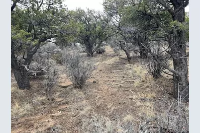 Lot 2087 Sandoval Road, Fort Garland, CO 81133 - Photo 10