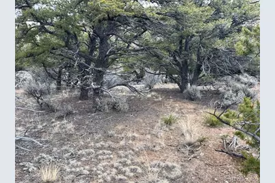 Lot 2087 Sandoval Road, Fort Garland, CO 81133 - Photo 8