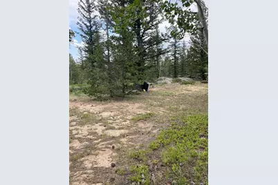 247 Sutiki Drive, Red Feather Lakes, CO 80545 - Photo 2