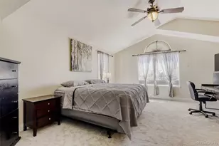 10047 Andrush Ct, Lone Tree, CO 80124 - Photo 22