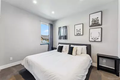 255 Flannigan Circle, Alma, CO 80420 - Photo 30