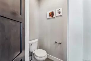 255 Flannigan Cir, Alma, CO 80420 - Photo 20