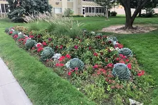 350 S Clinton St, Denver, CO 80247 - Photo 46