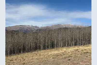 416 Little Baldy Circle, Fairplay, CO 80440 - Photo 20